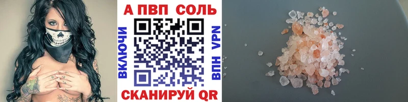 закладка  Судак  А ПВП Соль 