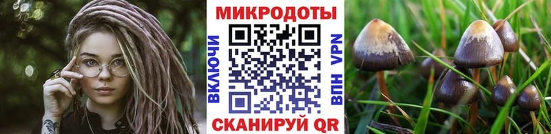 Псилоцибиновые грибы GOLDEN TEACHER  МЕГА ссылки  Судак 